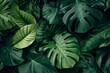 Exploring The Collective Background Of Lush, Dark Green Tropical Leaves