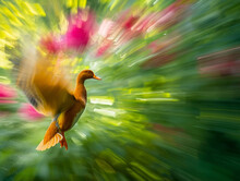 Duck In Motion, Creating A Dynamic Blur Amidst A Backdrop Of Vivid Spring Flora