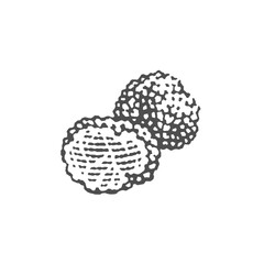 Truffles. Hand drawn engraving style illustrations. 