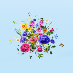 Wall Mural - Colorful spring flowers on blue background. Spring is here concept with exploding flowers and petals. 3D Rendering, 3D Illustration