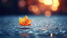 Autumn Season Bokeh Effect Leaves