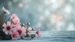 Cosmea pink blüten in kleinem Strauss liegen auf grauer Oberfläche. Bokeh grau, pink Backdrop, Platz für text. 