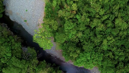 Wall Mural - Downwards drone shot of jungle with colorful flowing river in Gualaca Panama