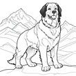 Coloring book for children depicting abernese mountain dog