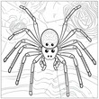 Coloring book for children depicting aorb weaver spider