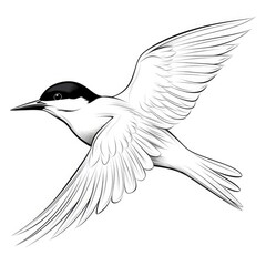 Wall Mural - Coloring book for children depicting awhite tern