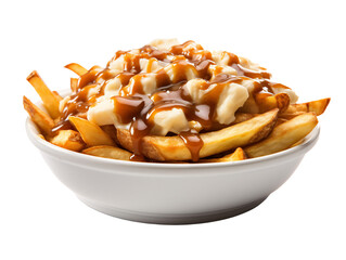 Wall Mural - a plate of french fries with toppings and gravy