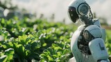 Fototapeta Uliczki - Smart robotic farmers in agriculture futuristic robot automation to vegetable farm 