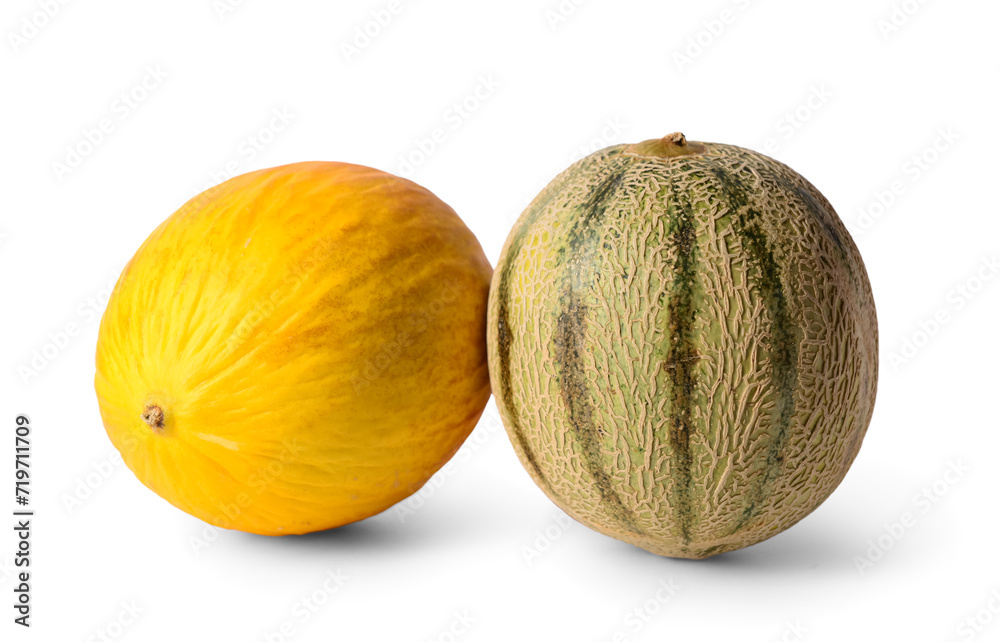 Different sweet melons on white background