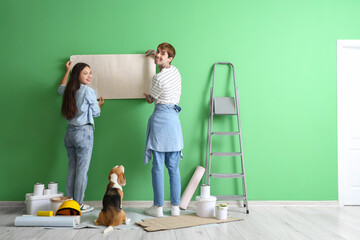 Poster - Young couple with Beagle dog wallpapering during repair in their new house, back view