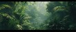 Dawn in the jungle. Tropical background. A beautiful path through the jungle. Mysterious impenetrable jungle overgrown with exotic plants. Jungle. Atmospheric forest. Tropical paradise. Generative AI