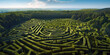 maze in the park, ai generated.