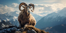 Mountain Wild Argali On The Top Of A Rock Against The Backdrop Of A Mountain Landscape Brown Mouflon Big Horns Sitting On A Rock.