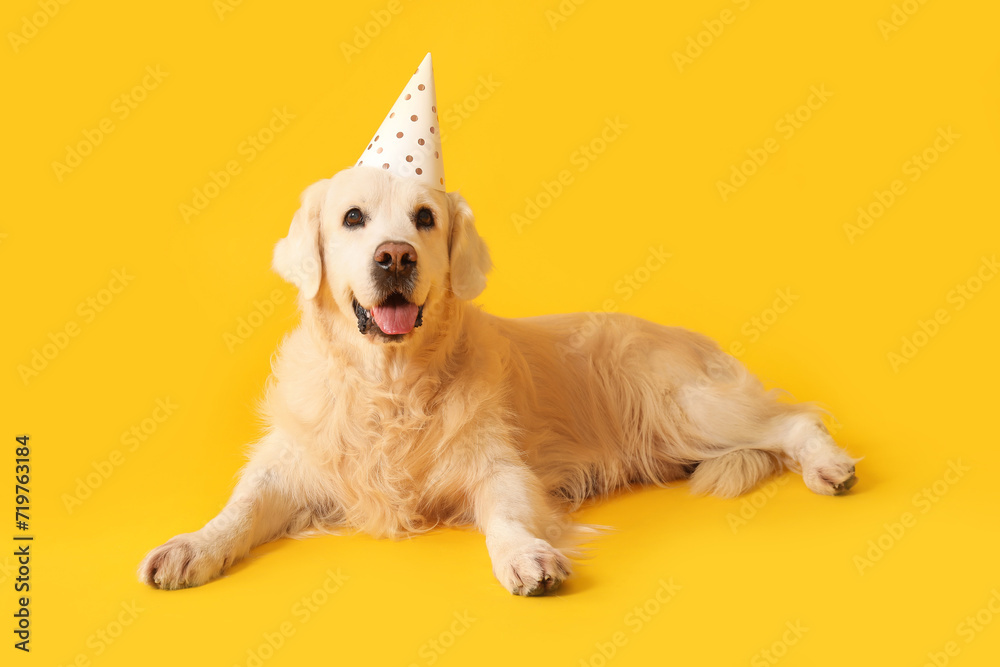 Adorable golden retriever in party hat on yellow background