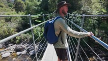 Man Looking Out Over A River On A Suspension Bridge In The Forest. Coromandel, New Zealand