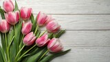 Fototapeta Tulipany - - Beautiful pink spring tulips on white wooden background, flat lay. Space for text