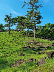Canvas Print - It is a hill with a dolmen.