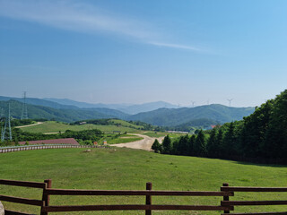 Canvas Print - This is the scenery of a sheep ranch in Korea.