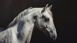 Fototapeta Zwierzęta - white horse portrait
