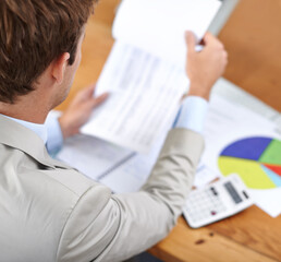 Poster - Business man, documents and spreadsheet for finance, accounting and budget report or revenue and profit analysis. Professional accountant with statistics, reading invoice and numbers for expenses