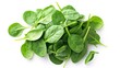 Pile of fresh green baby spinach leaves isolated on white background. Espinach Close up. Flat lay. Food concept. : Generative AI