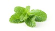 Mint leaf. Fresh mint on white background. Mint leaves isolated. Full depth of field. : Generative AI