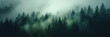 misty autumn coniferous evergreen forest with fog in the mountains,  Misty landscape with fir forest in hipster vintage retro style. dark green forest lanscape panorama