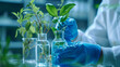 © sderbane - A woman in a laboratory works with blue liquid and green plants, conducting research in biotechnology, pharmaceuticals, and natural medicine.