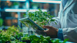 A man in a laboratory works with tablet and green plants, conducting research in biotechnology, pharmaceuticals, and natural medicine.