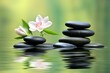 Zen basalt stones and flower on the water, zen concept