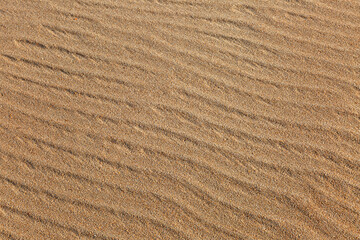 The wavy surface of a sand dune. Background. Space for text.