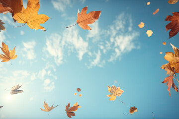 Wall Mural - Fallen autumn leaves on blue sky background. Fall season concept