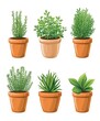 © antusher - Illustration of five different types of potted plants illustrated