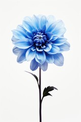 Poster - A detailed shot of a blue flower on a stem. Perfect for adding a pop of color to any design or project