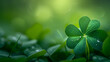 a green background with a bunch of clover leave, Four-leaf lucky clover over green bakcground, Shamrocks on a green background celebrate St. Patrick's Day,  Generative AI