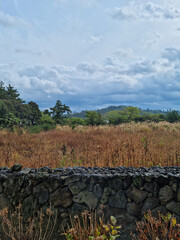 Canvas Print - Grassland with cloudy sky and stone wall.