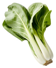 Fresh green bok choy isolated on a white background a healthy and organic vegetable 