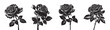 Set of black rose silhouettes. Set of roses with leaves isolated on transparent background