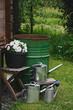 rain barrel in summer garden with watering cans and flowers in pot. Water save concept