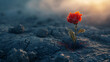 A flower rises from ashes defying and inspiring