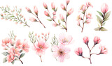 Fototapeta Kosmos - Watercolor pink flower object, Generative AI