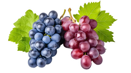 Wall Mural - Red and blue grapes with leaves isolated on white background..
