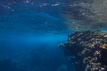 Wall Mural - bay in the coral reef with foamy water during strong waves