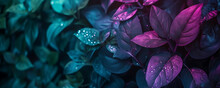 Enigmatic Midnight Garden Gradient With Deep Violet, Indigo, And Emerald Green Hues, Paired With A Grainy Texture For A Mysterious-themed Event