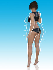 Poster - Conceptual fat overweight obese female vs slim fit healthy body after weight loss or diet with white outline and pointing arrows on blue. A  fitness, nutrition or obesity, health shape 3D illustration