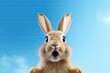 cute suprised easter bunny on blue sky background