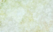 light verdigris grunge mould parchment paper texture background