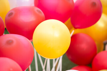 Wall Mural - Colorful balloons on red and white background, close-up.