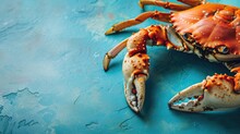 Brightly Colored Cooked Crab On A Textured Blue Background, Suggestive Of Ocean Freshness