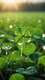 Fototapeta Tęcza - Clover leaf, the leaf of good luck